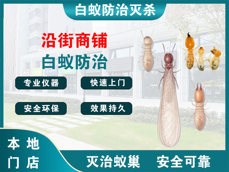 太仓市沿街商铺白蚁防治
