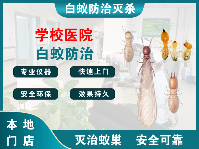 太仓市学校医院白蚁防治