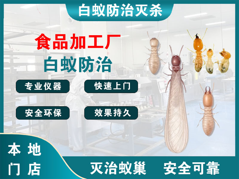 太仓市食品加工厂白蚁防治