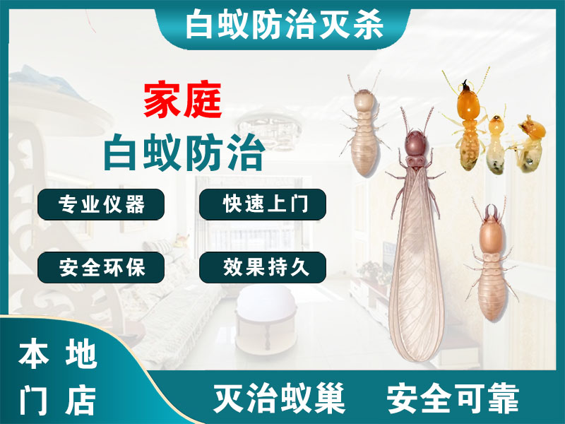 太仓市家庭白蚁防治