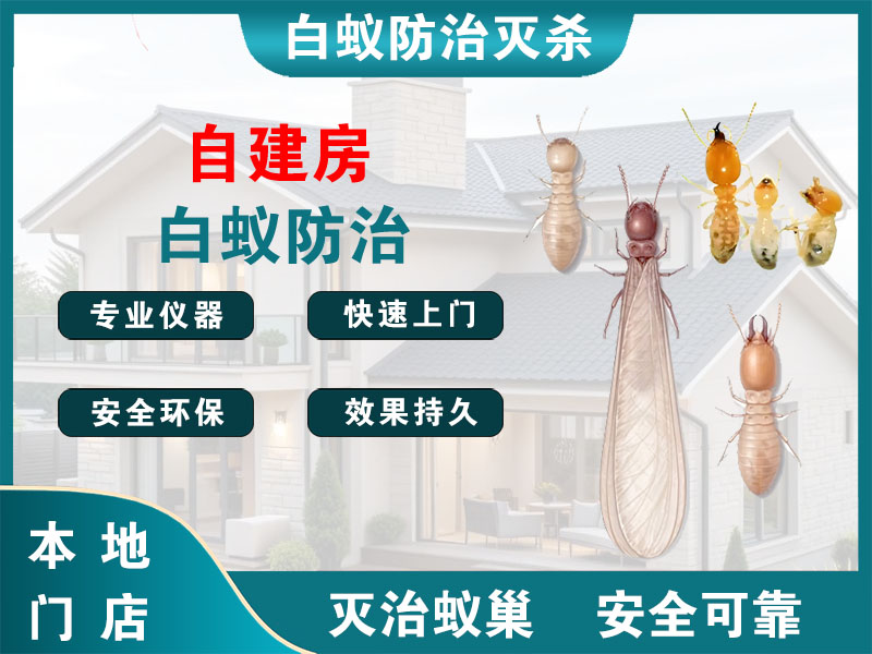 太仓市自建房白蚁防治