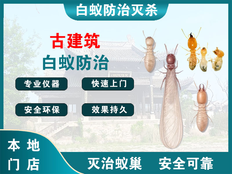 太仓市古建筑白蚁防治