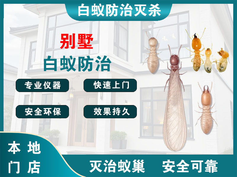 太仓市别墅白蚁防治