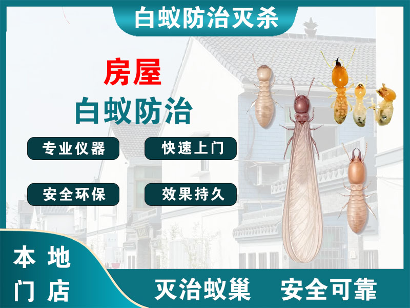 太仓市房屋白蚁防治